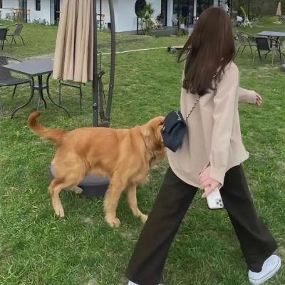 又见莲花